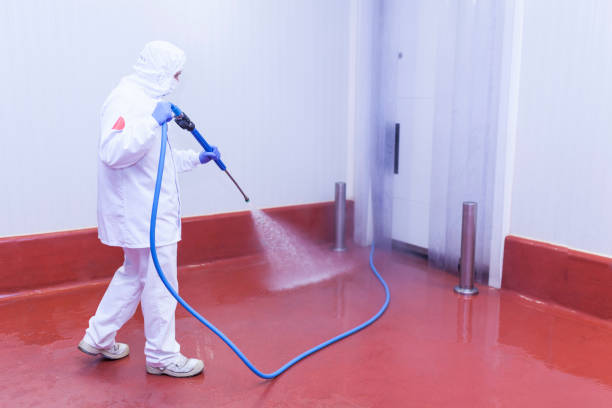 Best Factory Floor Cleaning  in Taylor, AL